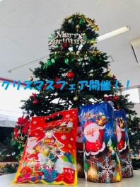 土・日はクリスマスフェア！！